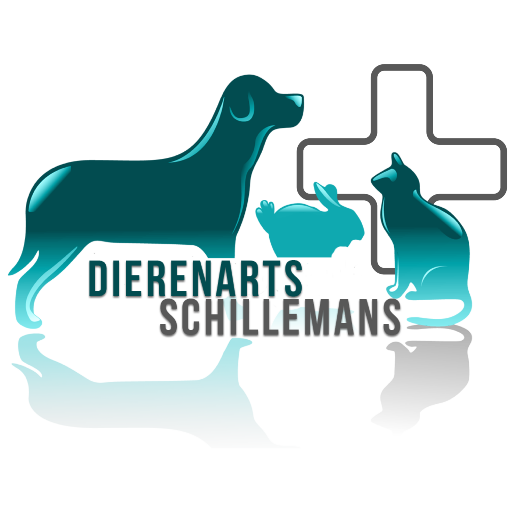 Dierenarts Schillemans